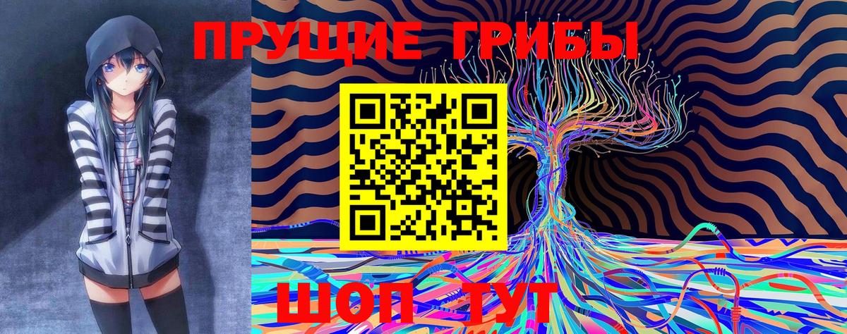Галлюциногенные грибы Psilocybine cubensis Партизанск