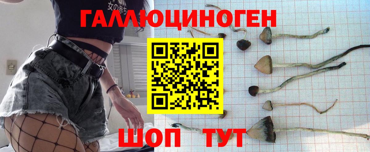 где купить   Псилоцибиновые грибы Cubensis  Вход с VPN  Галлюциногенные грибы MAGIC MUSHROOMS  Партизанск 